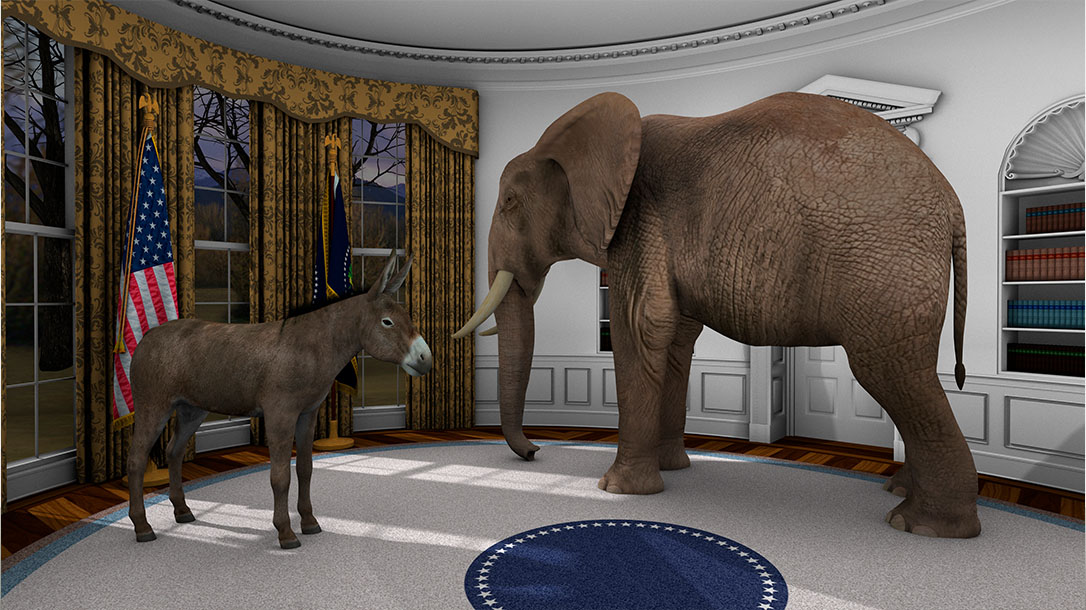 two animals in the Oval Office ready for a face the nation.