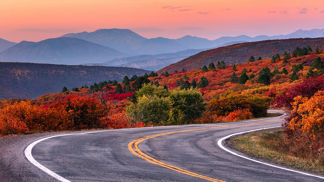Learn how to plan the perfect family road trip.