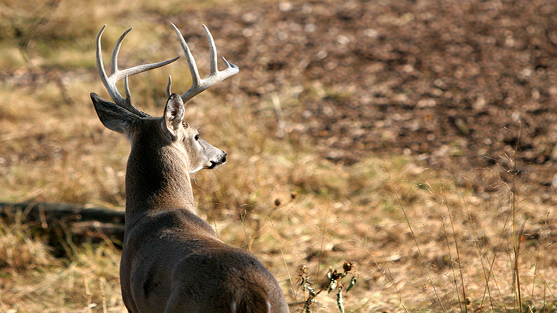 Bow hunting is more than just a sport, for some it is a means of survival.