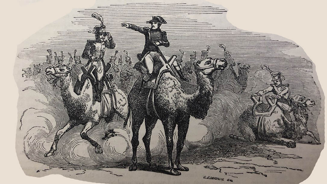 Given the camels abilities, it's a wonder there aren't used more in combat.