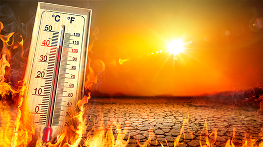 Record letting temperatures can lead to heatstroke.