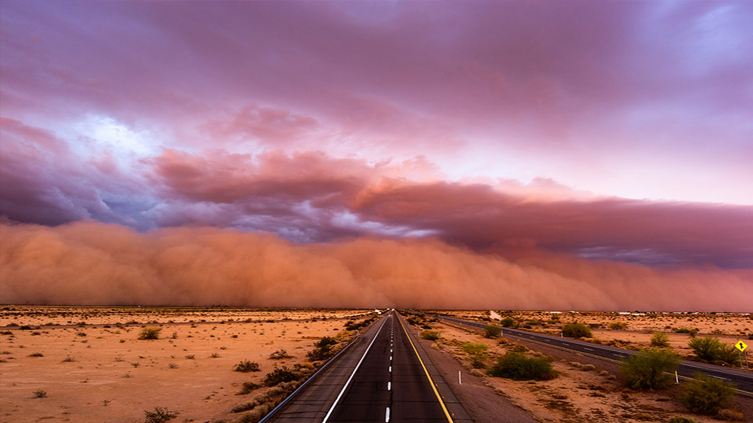 Learn how to survive a sandstorm with this easy to read article.
