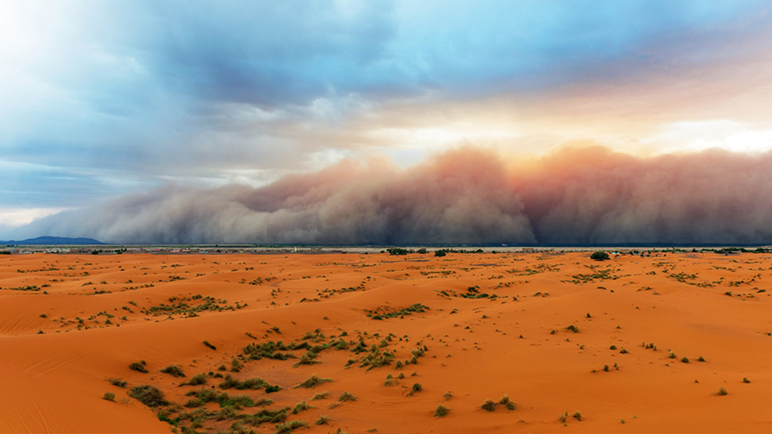 Sandstorms can be deadly if you don't know how to take proper precautions.