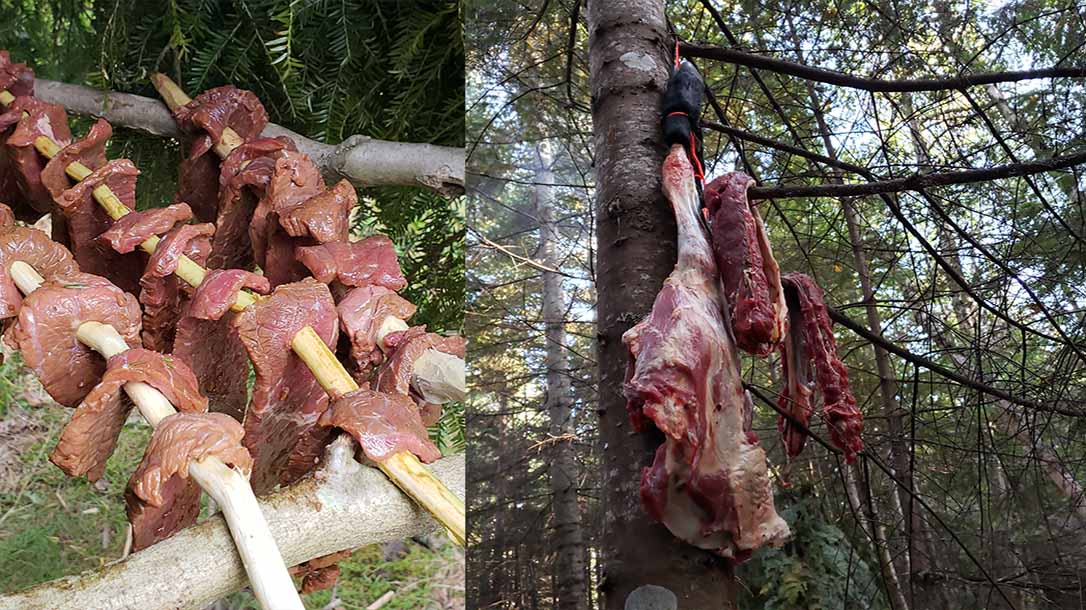 Curing, salting, and pickling are all ways that you can preserve meats in the outdoors.