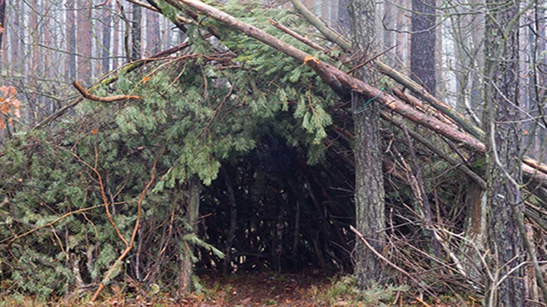 Do you know how to build a shelter in the woods that actually could help you survive?