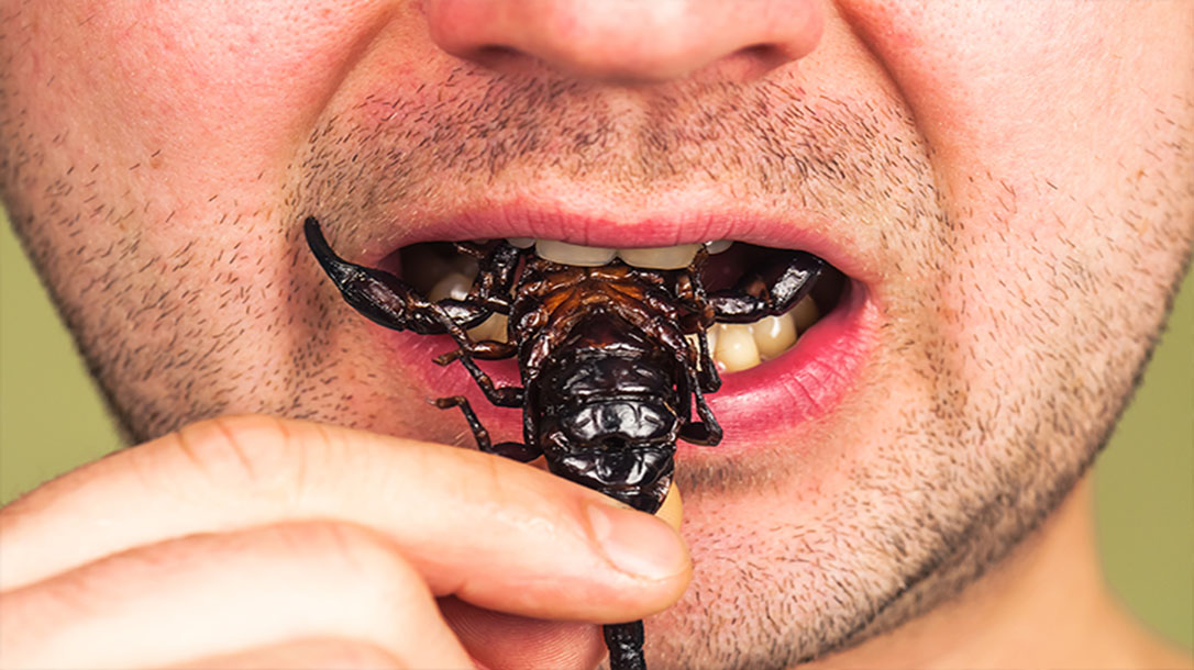 It may seem like everyone is talking about eating bugs these days, and you would be right to ask why.