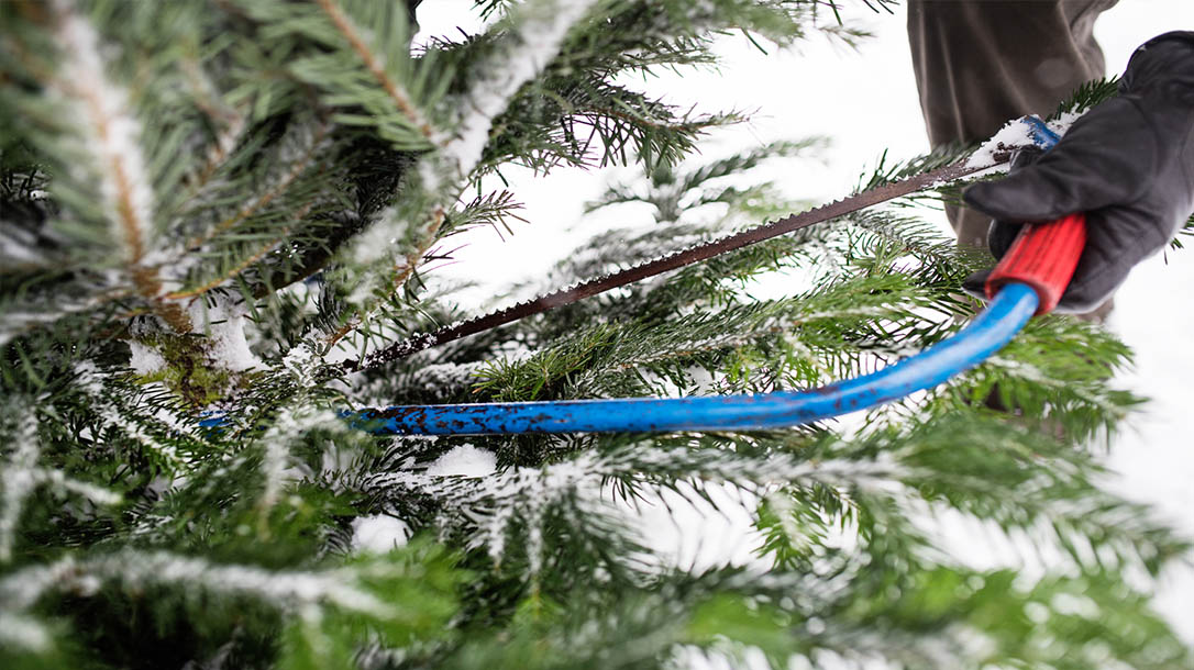 Having the correct tool to cut down a Christmas tree will make life easy this holiday season.