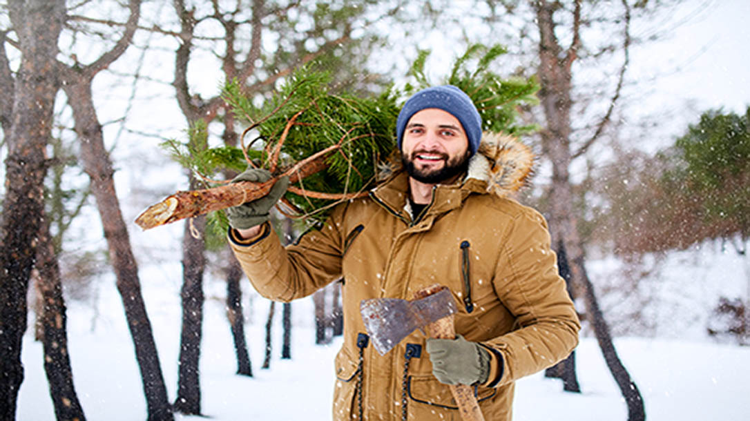 Learn how to cut down a Christmas tree of your very and be the hero of your household this Christmas.